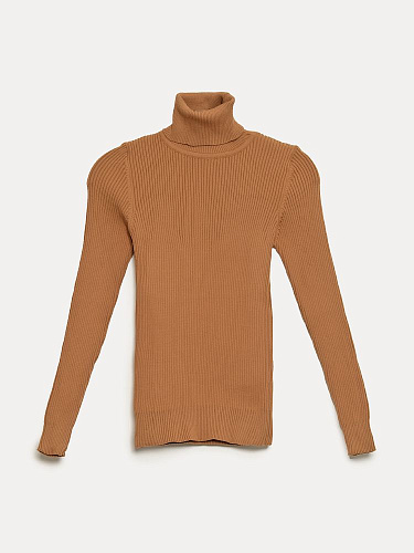 Водолазка (14382) Водолазка (14382)